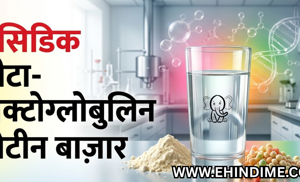 एसिडिक बीटा-लैक्टोग्लोबुलिन प्रोटीन बाजार